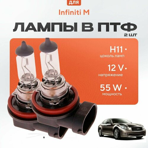 Галогеновые лампы H11 в ПТФ для Infiniti M IV (Y51) 2010-2013. Галоген в туманки для Инфинити М фото