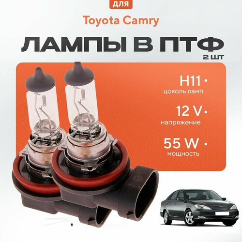 Галогеновые лампы H11 в ПТФ для Toyota Camry XV30 дорест. и рест. 2001-2006. Галоген в туманки для Тойота Камри фото