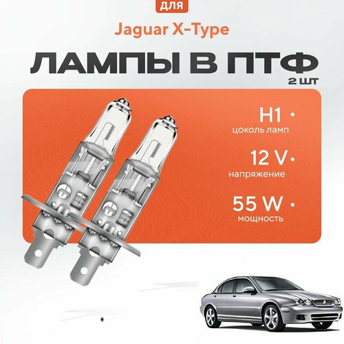 Галогеновые лампы H1 в ПТФ для Jaguar X-Type. Галоген в туманки для Ягуар фото