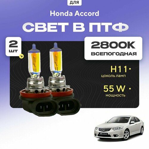 Всесезонные галогеновые лампочки 2800К H11 в ПТФ для Honda Accord VIII (CU, CP, седан) дорест. и рест. 2008-2013. H11 в туманки для Хонда Аккорд. Галоген в противотуманные фары фото