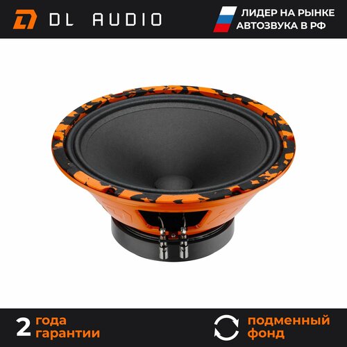 Динамики автомобильные 25 см DL Audio Gryphon Pro 250 пара фото