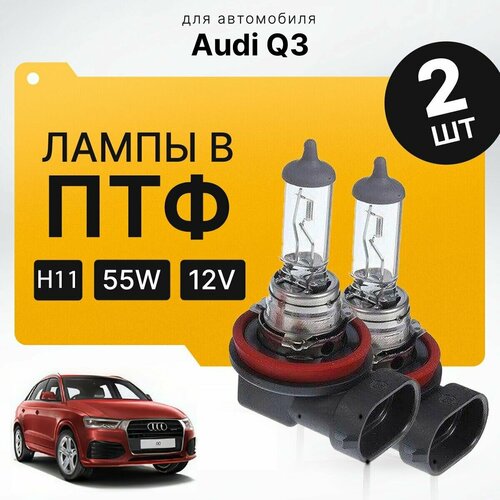 Галоген H11 в ПТФ для Audi Q3. Галогеновые лампы в туманки для Ауди ку3. Лампы H11 в противотуманные фары фото