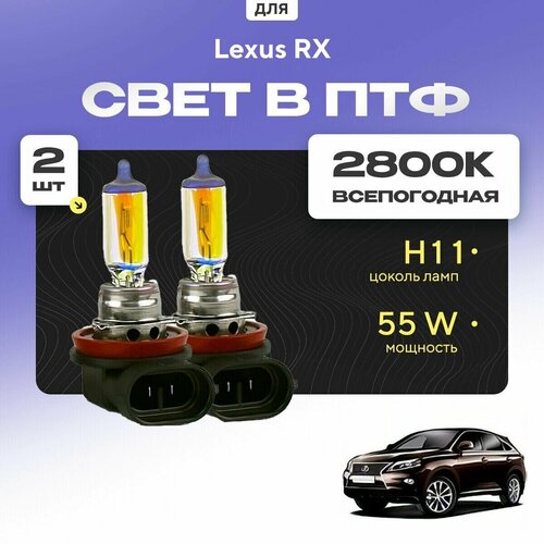 Всесезонные галогеновые лампочки 2800К H11 в ПТФ для Lexus RX III (L1) дорест. и рест. 2009-2015. H11 в туманки для Лексус РХ. Галоген в противотуманные фары фото