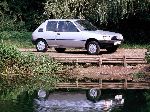 լուսանկար 7 Ավտոմեքենա Peugeot 205 հեչբեկ 3-դուռ (1 սերունդ 1983 1998)
