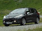 तस्वीर 2 गाड़ी Peugeot 207 Escapade गाड़ी 5-द्वार (1 पीढ़ी 2006 2009)