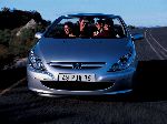 صورة فوتوغرافية 2 سيارة Peugeot 307 كابريوليه (1 جيل [تصفيف] 2005 2008)