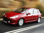صورة فوتوغرافية 3 سيارة Peugeot 307 هاتشباك 5 باب (1 جيل [تصفيف] 2005 2008)