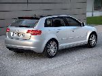 fotografie 25 Auto Audi A3 Sportback hatchback 5-dveřový (8P/8PA [2 facelift] 2008 2013)