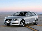 照片 31 汽车 Audi A3 Sportback 掀背式 5-门 (8P/8PA [2 重塑形象] 2008 2013)