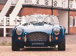 写真 16 車 AC Cobra ロードスター (1 世代 1990 2001)