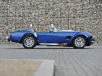 写真 17 車 AC Cobra ロードスター (1 世代 1990 2001)