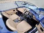 写真 19 車 AC Cobra ロードスター (1 世代 1990 2001)