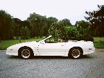 صورة فوتوغرافية 13 سيارة Pontiac Firebird كابريوليه (4 جيل 1993 1997)